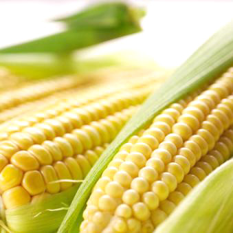 玉米
